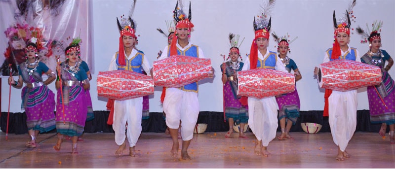 Students of mvm bilaspur have performed folk dance
