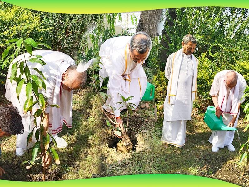 Brahmachari Girish Ji-Chancellor and Prof. Bhuvnesh Sharma Ji-Vice Chancellor of Maharishi Mahesh Yogi Vedic Vishwavidyalaya with course participants of Maharishi Vedic Science Teachers Training Course has done plantation on the occasion of World Environment Day. All have taken sankalpa to plant large number of trees and do every thing possible to save our environment in the interest of current and all future generations.