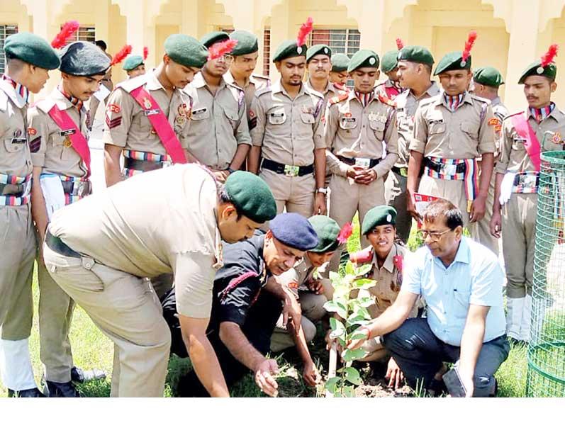 Students along with respected dignitaries planted saplings on the occasion of Certificates of NCC 'A' & 'B' distribution.