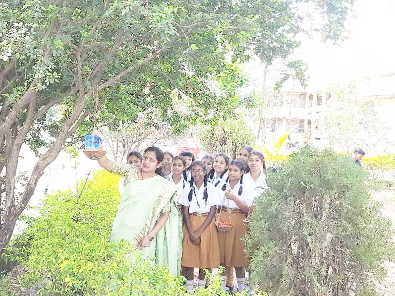 MVM Chhindwara : Students of Maharishi Vidya Mandir Chhindwara created hanging grain and water feeder. The moto of the activity was to help nearby birds by ensuring food and water for them and instilling qualities like humanism within children.